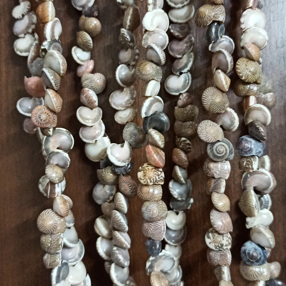 Sea Shell Door Decor / Curtain Strings - Picture 3 of 4